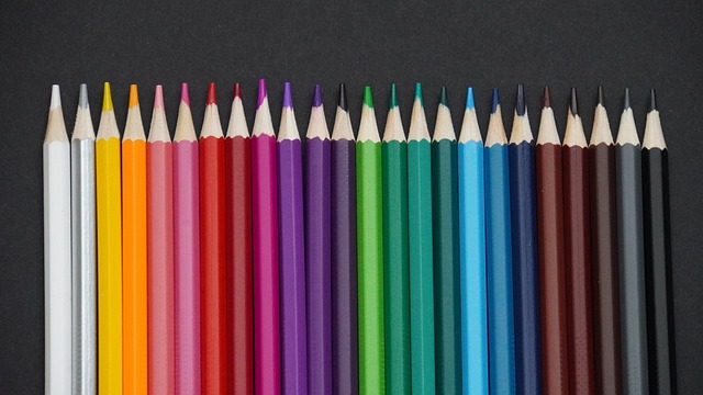 他们可能会 他们可能会